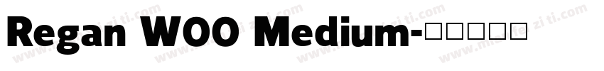 Regan W00 Medium字体转换